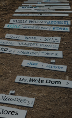 Domain Name Registration image